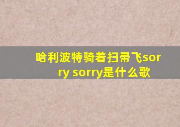 哈利波特骑着扫帚飞sorry sorry是什么歌